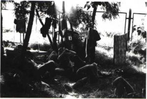 №240. эт Крым, 88 или 89, после обеденное чтение (обязательное!!!) книжечки профессора Герасимова... Выложил Володя Борода