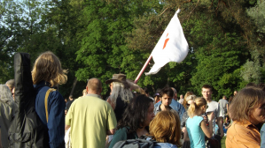 Поляна в Царицыно 1 июня 2015 фото
