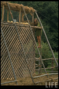 Рок-фестиваль Woodstock 1969 хиппи