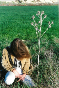 Саккар 1994 год
